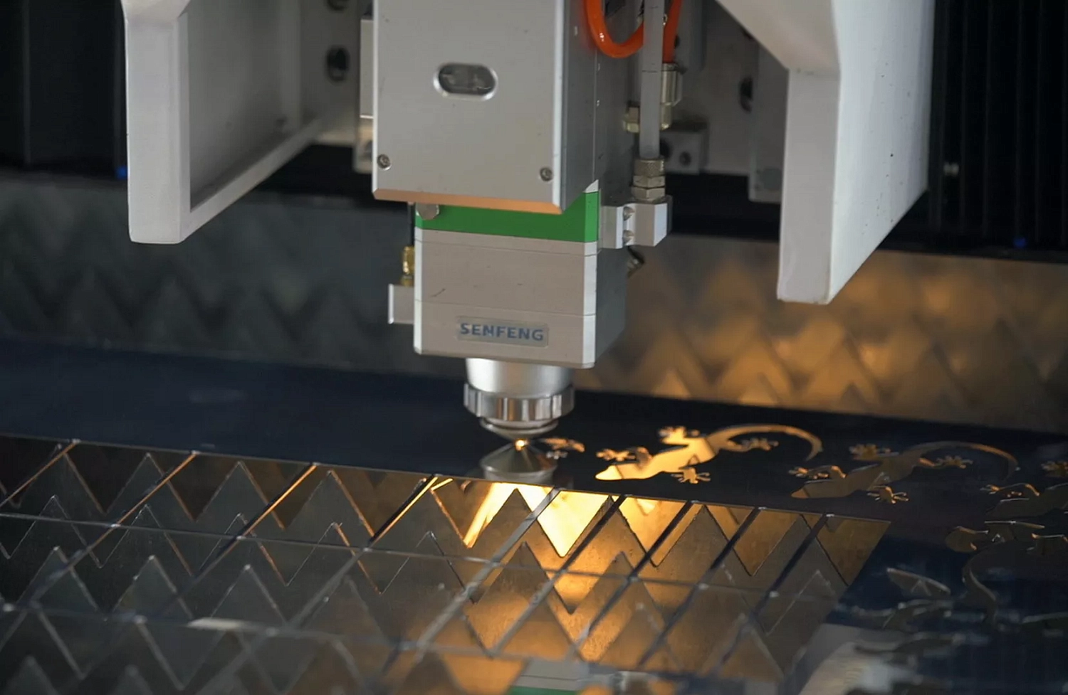 Сезон выставок 2024 открыт!